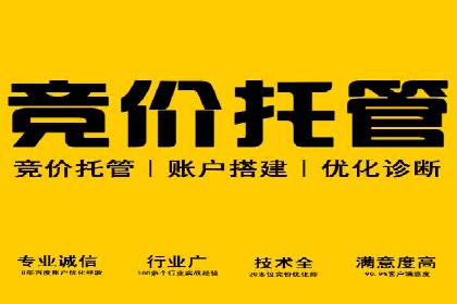 某行业sem优化托管的成功经验分享